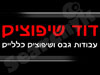 דוד שיפוצים