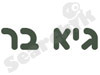 גיא בר שאיבות חול 