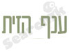 ענף הזית