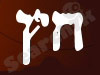 חץ כבלי פיקוד בע
