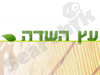 עץ השדה 