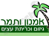 אמנון ותמר 