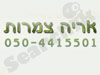 אריה דתיאל צמרות
