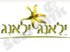 ילאנג ילאנג 