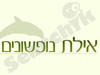 ישראל דיל