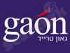 גאון בית השקעות
