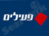 פעילים חברה לניהול השקעות