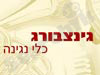 גינצבורג כלי נגינה