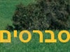 סברסים - מדריך טיולים חברתי 