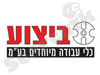 ביצוע