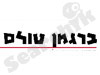 ברגמן טולס