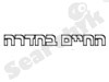 החיים בחדרה
