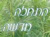 התחלה חדשה 