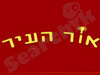 אור העיר 