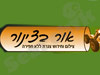 אור בצינור