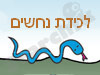 לוכד נחשים