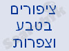 פורום ציפורים בטבע וצפרות