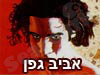 אביב גפן