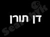 דן תורן