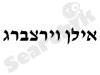 אילן וירצברג