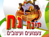 תיבת נח 