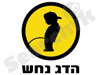 הדג נחש