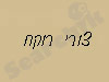 צורי רוקח 