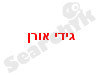 גידי אורן-כלי נשיפה 