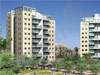 סביוני נצר סירני 