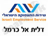 לשכת התעסוקה דלית אל כרמל 