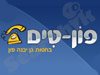פון-טים 