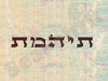 תיהמת עיצובים - ראשית הבריאה 