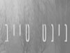 נינט טייב 