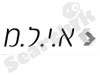 א.י.ל.מ. מערכות הדרכה 