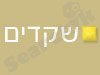 סטודיו שקדים - עיצוב אתרים