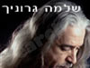 שלמה גרוניך