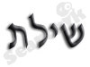 שילת - ליווי עיסקי ופיננסי