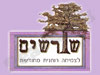 מרכז שורשים תל אביב 