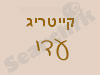 קייטריג עדי