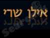 אילן שרי
