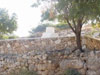 יוחנן הסנדלר 