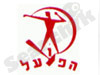 ויקי הפועל 