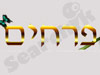 פרחים 