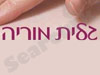 גלית מוריה - שלגי