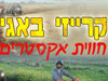 קרייזי באגי 