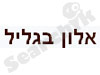 אלון בגליל 