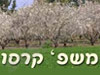 משפחת קרסו מושב שרונה