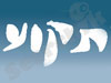 תקוע