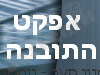 אפקט התובנה 