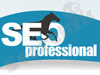 seo-professional 